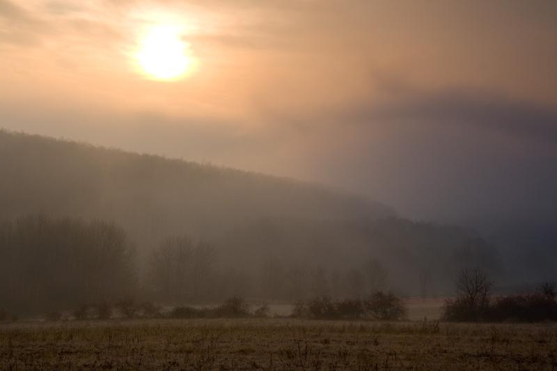 IMG15081.jpg