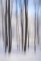 IMG14944