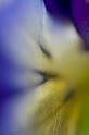 IMG11766