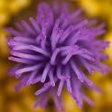 IMG_0690